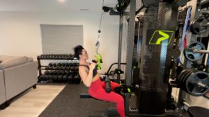 Rear Delt Pull Down