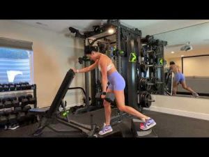 Front Heel Elevated Back Foot Elevated Split Squat